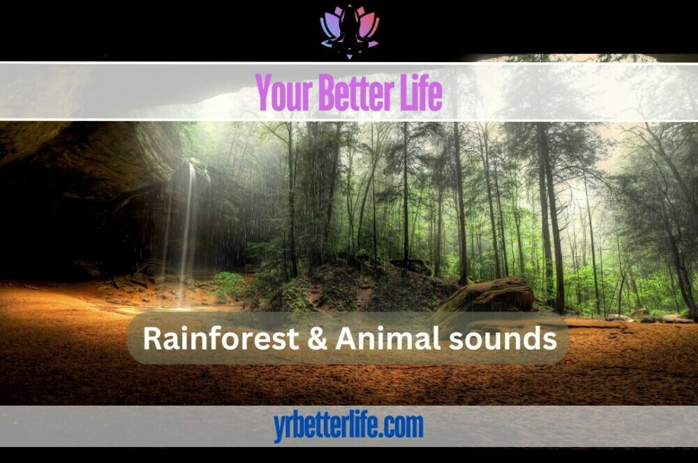 Relaxing Sleeping Mediation Music