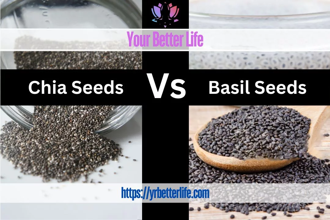 Chia Seeds Vs Basil Seeds