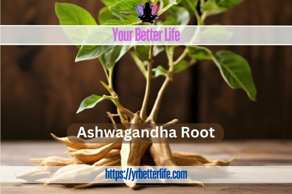 Ashwagandha Root Review 