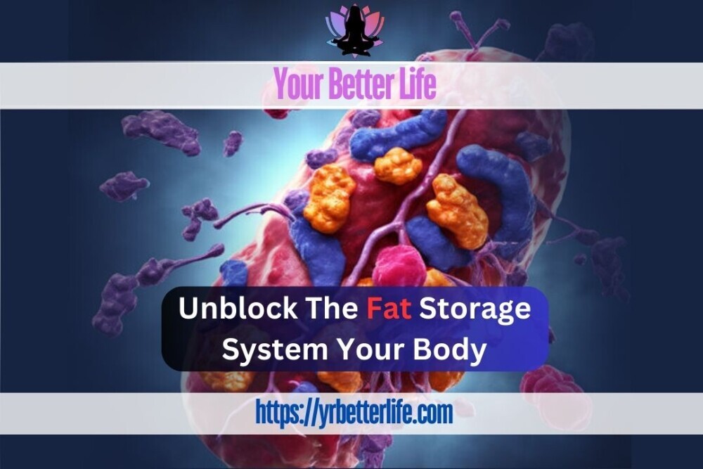 Unlock The Fat Storage System In Your Body