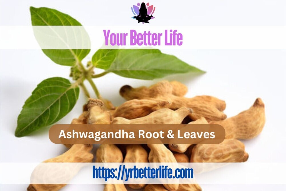 Ashwagandha Root and Leaves