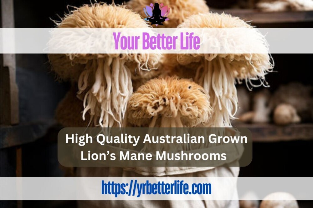 High Quality Australian Grown Lion's Mane Mushrooms