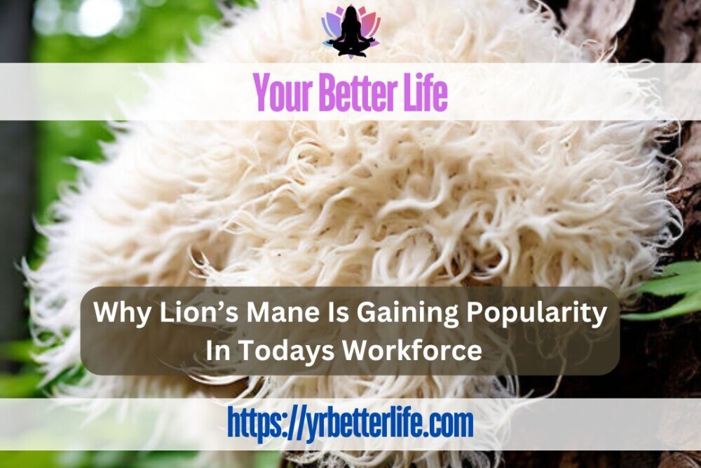 Why Lion's Mane Is Gaining Popularity In Todays Workforce