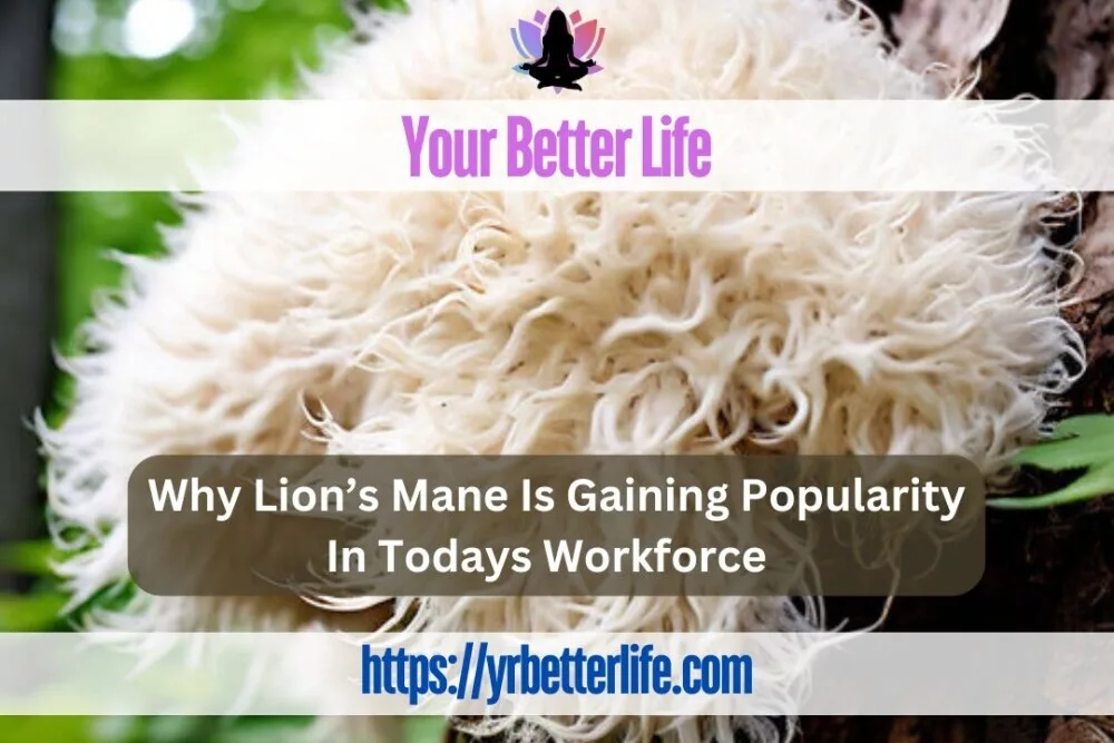 Why Lion's Mane Mushrooms are gaining popularity in todays workforce