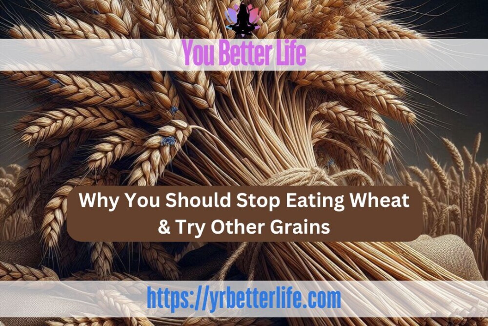 Why You Should Stop Eating Wheat